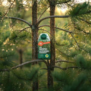Pinena® Alkuperäinen Havupuu-uutejuoma - Kuva 1