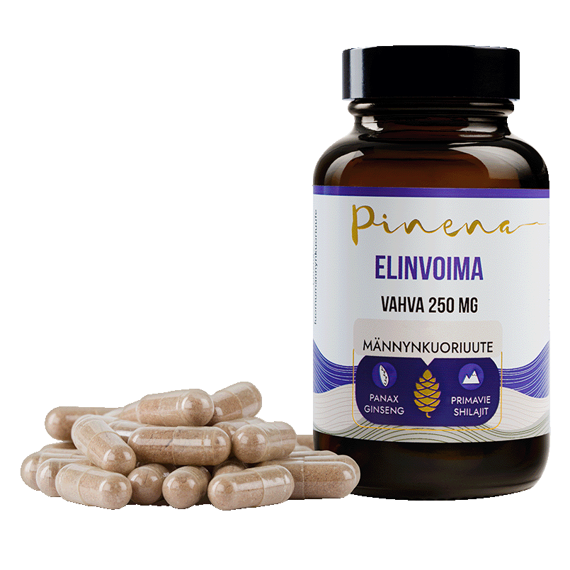 Pinena® Elinvoima Havupuu-uutekapseli - Kuva 1